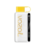 Vozol Star 12000 Puffs Disposable Vape