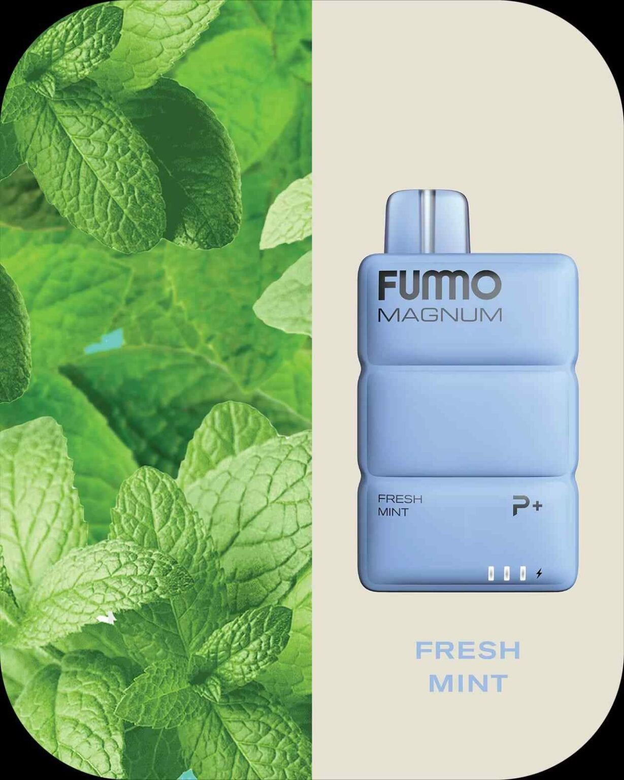 FUMMO Magnum 8000 Puffs Disposable Vape In UAE - Image 7
