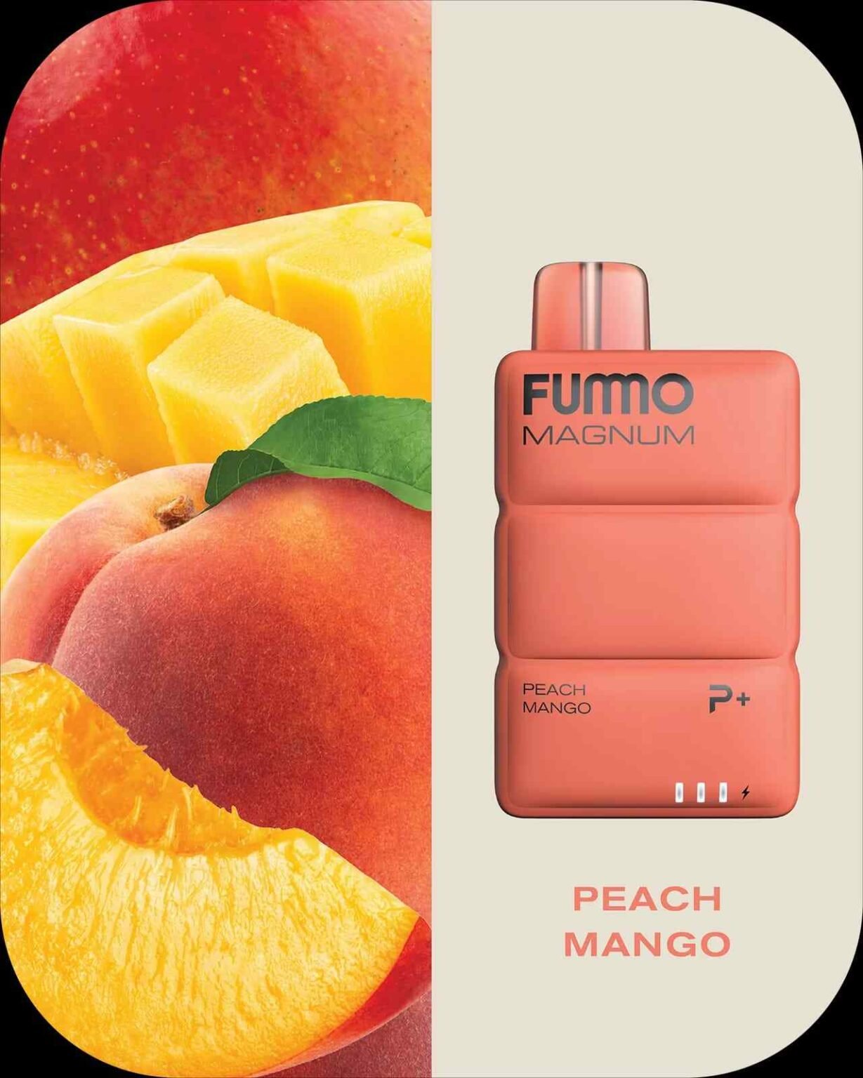FUMMO Magnum 8000 Puffs Disposable Vape In UAE - Image 11