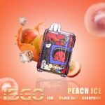 ISGO 6000 Puffs Disposable Vape in UAE - Image 13