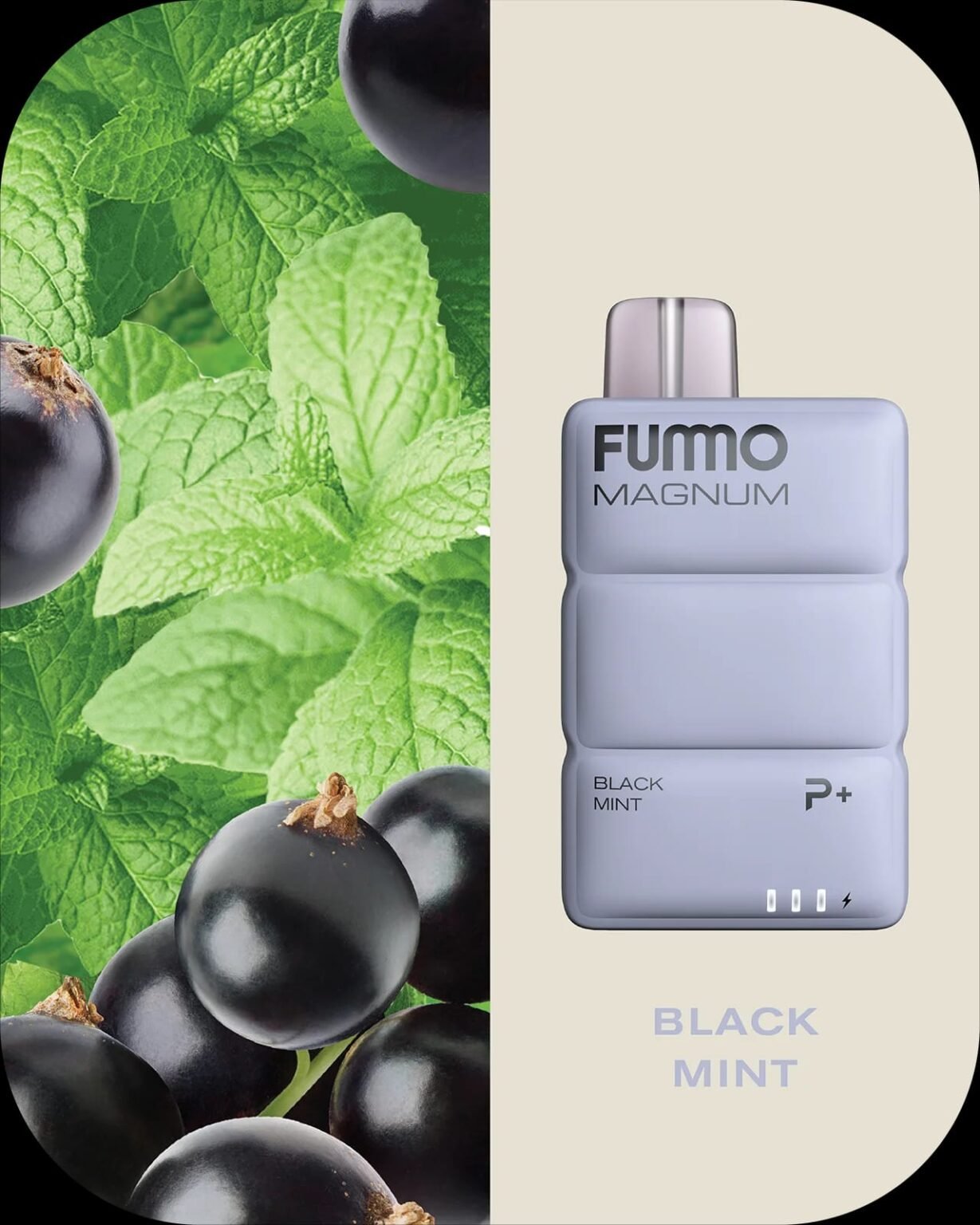 FUMMO Magnum 8000 Puffs Disposable Vape In UAE - Image 19