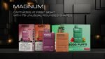 FUMMO Magnum 8000 Puffs Disposable Vape In UAE - Image 25