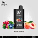Silvaper 24000 Puffs Disposable Vape In UAE - Image 10