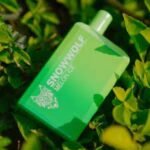 SNOWWOLF MAX 6000 Puffs Disposable Vape in UAE - Image 9