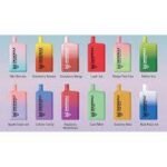 SNOWWOLF MAX 6000 Puffs Disposable Vape in UAE - Image 10